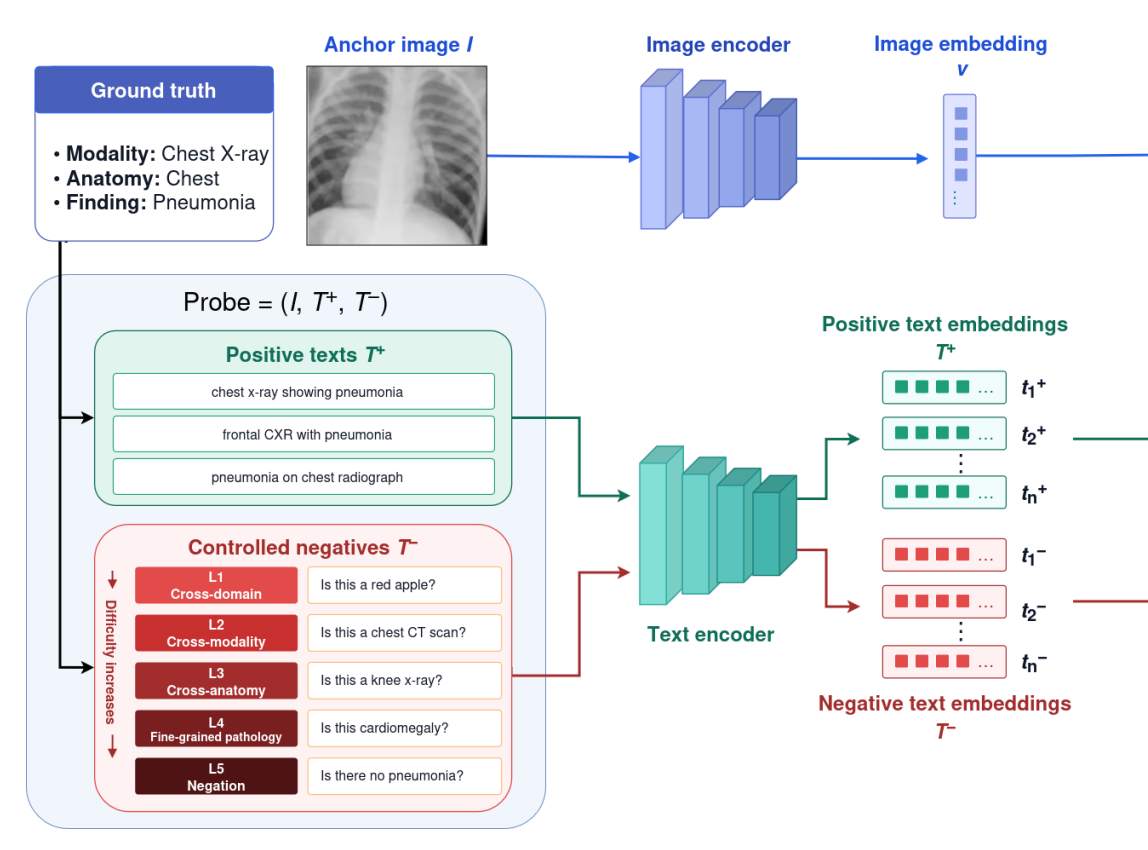 When Medical VLMs Stop Understanding: MedTEC-Bench for Probing Semantic Specificity